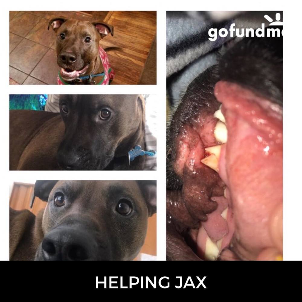 Meet your Posher, Jaida